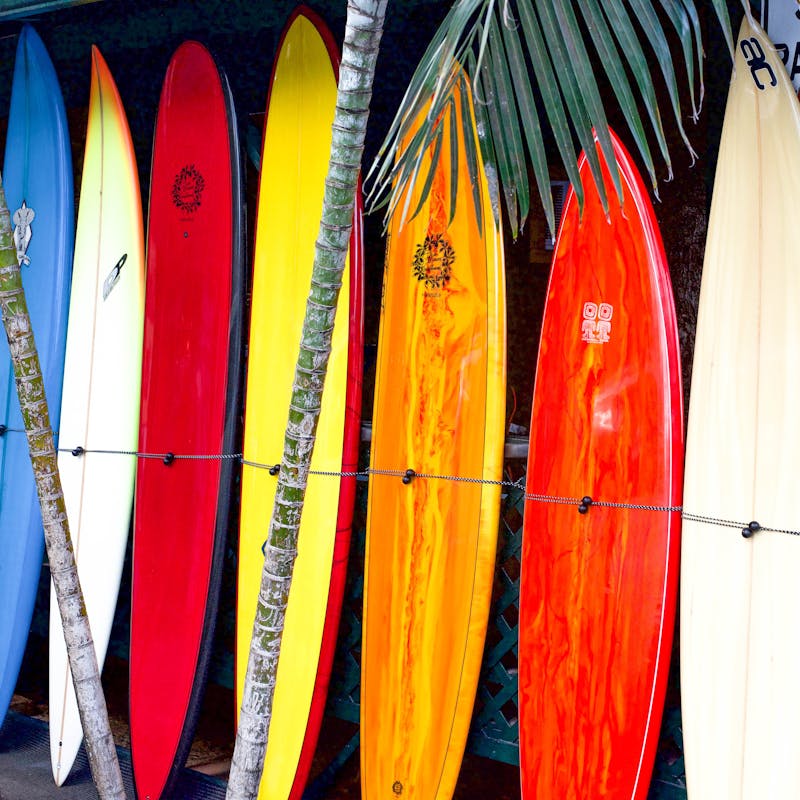 Surfboards at the shop